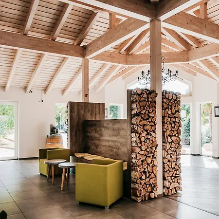 Birkenhof فندق إبلهايم